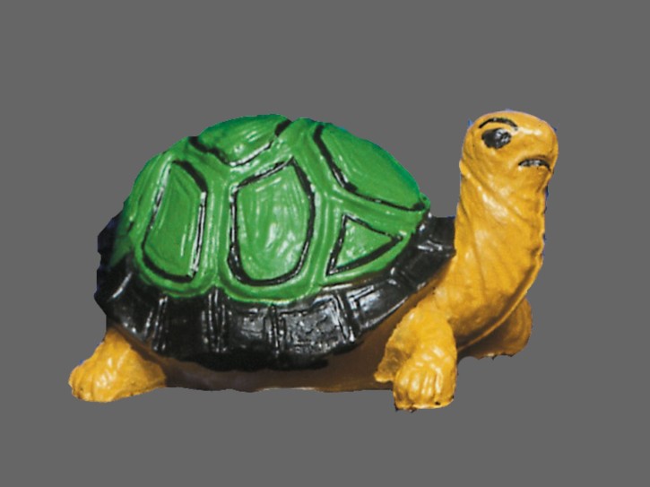 Schildkröte Art. 896